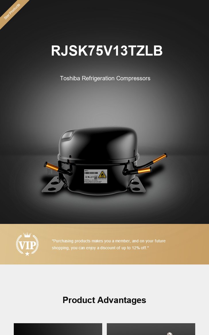 Toshiba Compressor RJSK75V13TZLB, technical parameters pdf, structure diagram